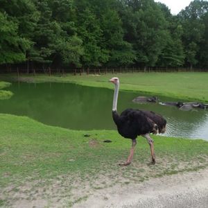 Meet your Posher, Morales julia